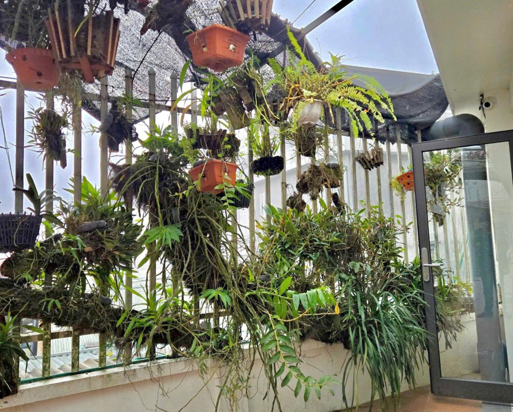 Sapa Village Hotel Экстерьер фото